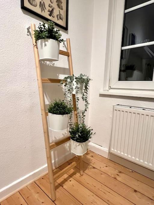 Stadtoase Design Wohnung In Der Altstadt Von Koblenz Koblenc Exteriér fotografie
