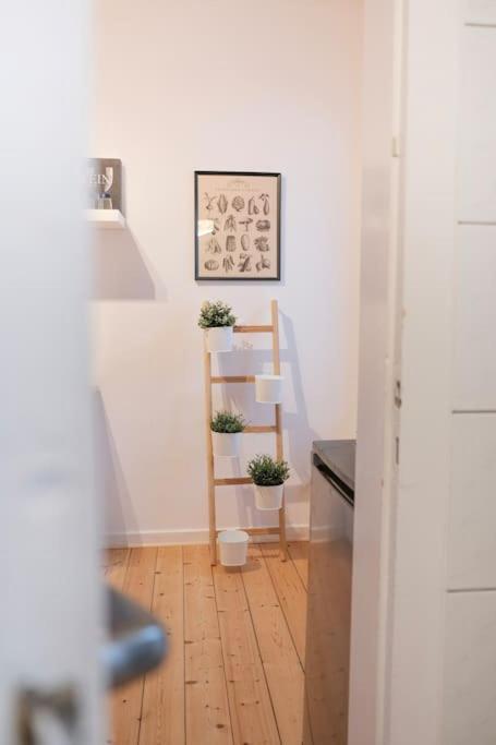 Stadtoase Design Wohnung In Der Altstadt Von Koblenz Koblenc Exteriér fotografie